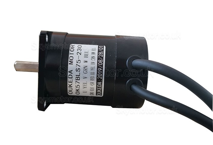 24V Brushless DC Motor BLDC Motor OK57BLS75-230 2 Phase 22Ncm 3000RPM Φ57mm